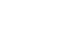 BSE Plantations